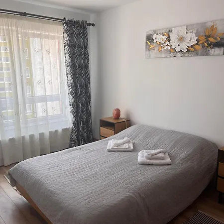 35 Classic Apartment Brasov